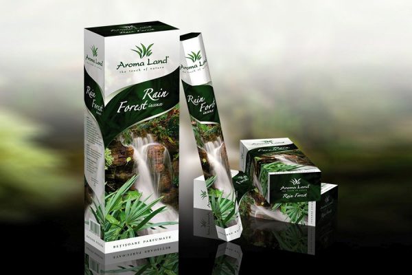 Betisoare parfumate/aromate Rain Forest